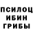 Галлюциногенные грибы GOLDEN TEACHER Caio Fontes