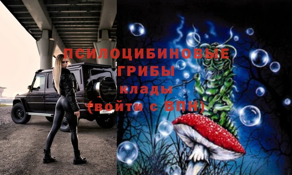 гидропоника Вязьма