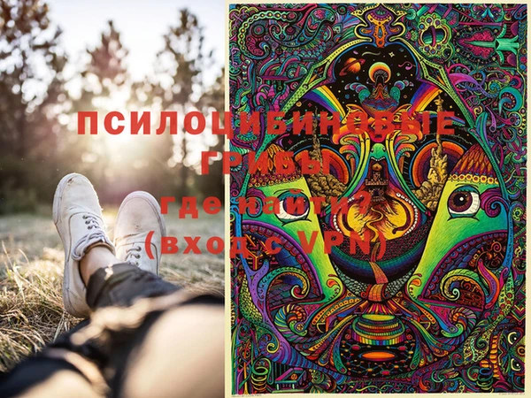 мет Вяземский