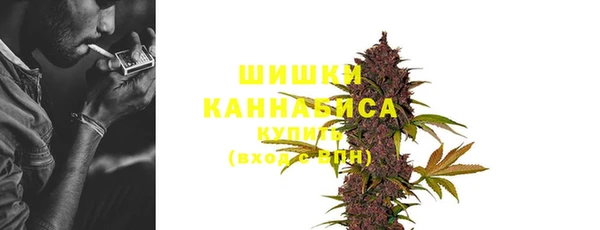 стафф Володарск