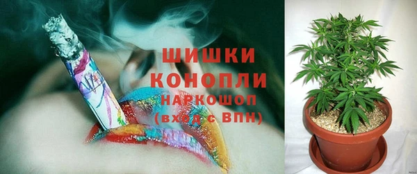 гидропоника Вязьма