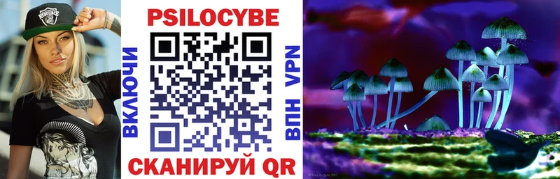 OMG зеркало  Махачкала  Псилоцибиновые грибы прущие грибы 